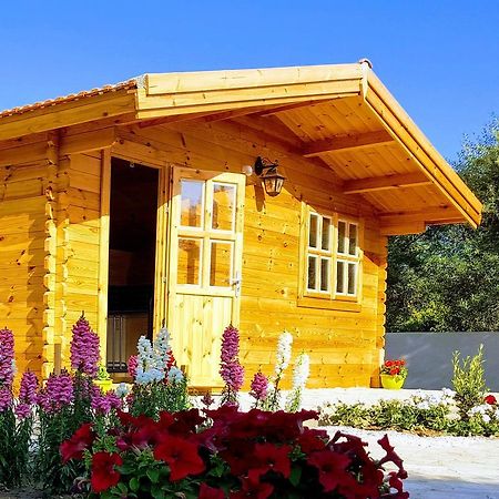 Cyprus Glamping Park Hotel Agios Theodoros Kültér fotó