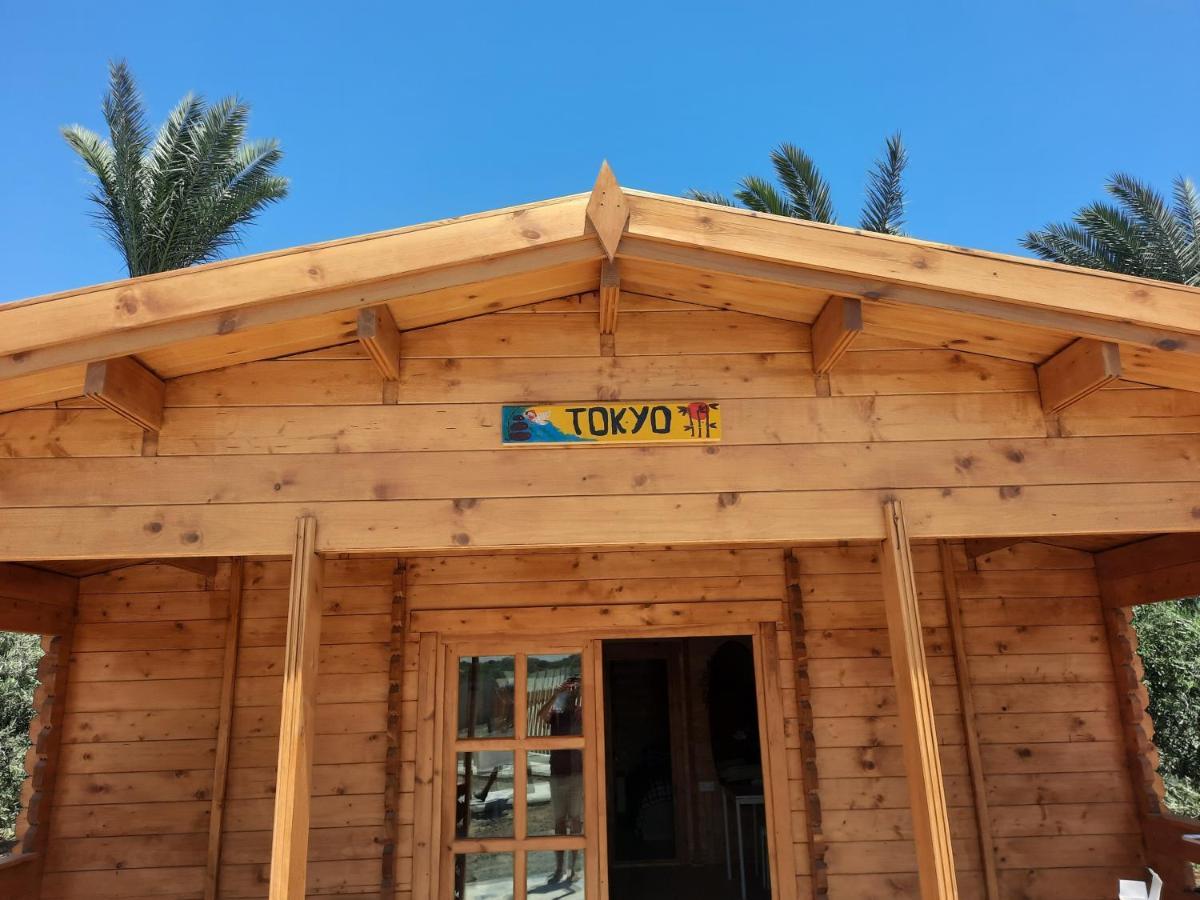 Cyprus Glamping Park Hotel Agios Theodoros Kültér fotó