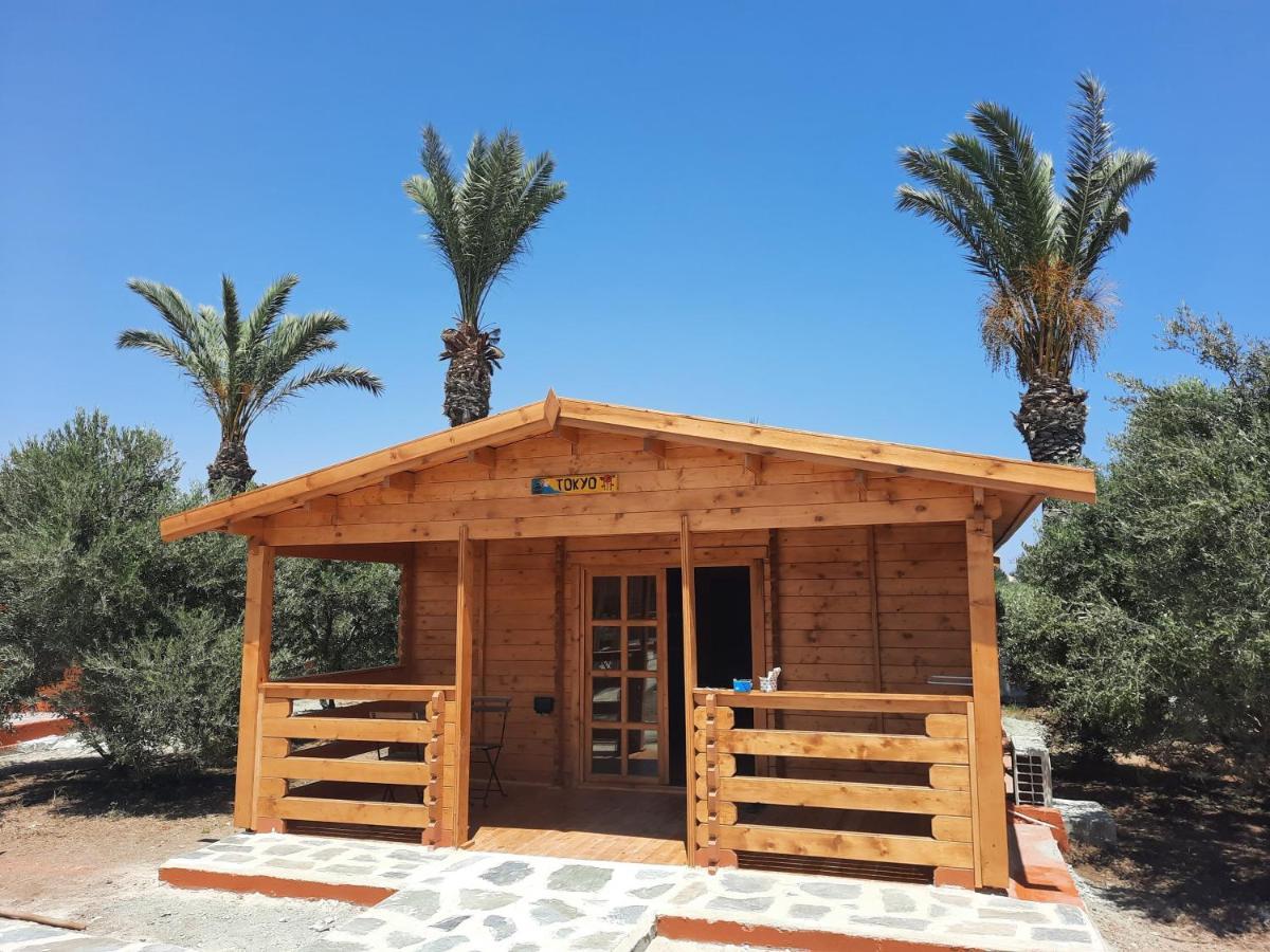 Cyprus Glamping Park Hotel Agios Theodoros Kültér fotó