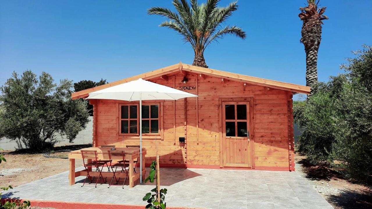 Cyprus Glamping Park Hotel Agios Theodoros Kültér fotó