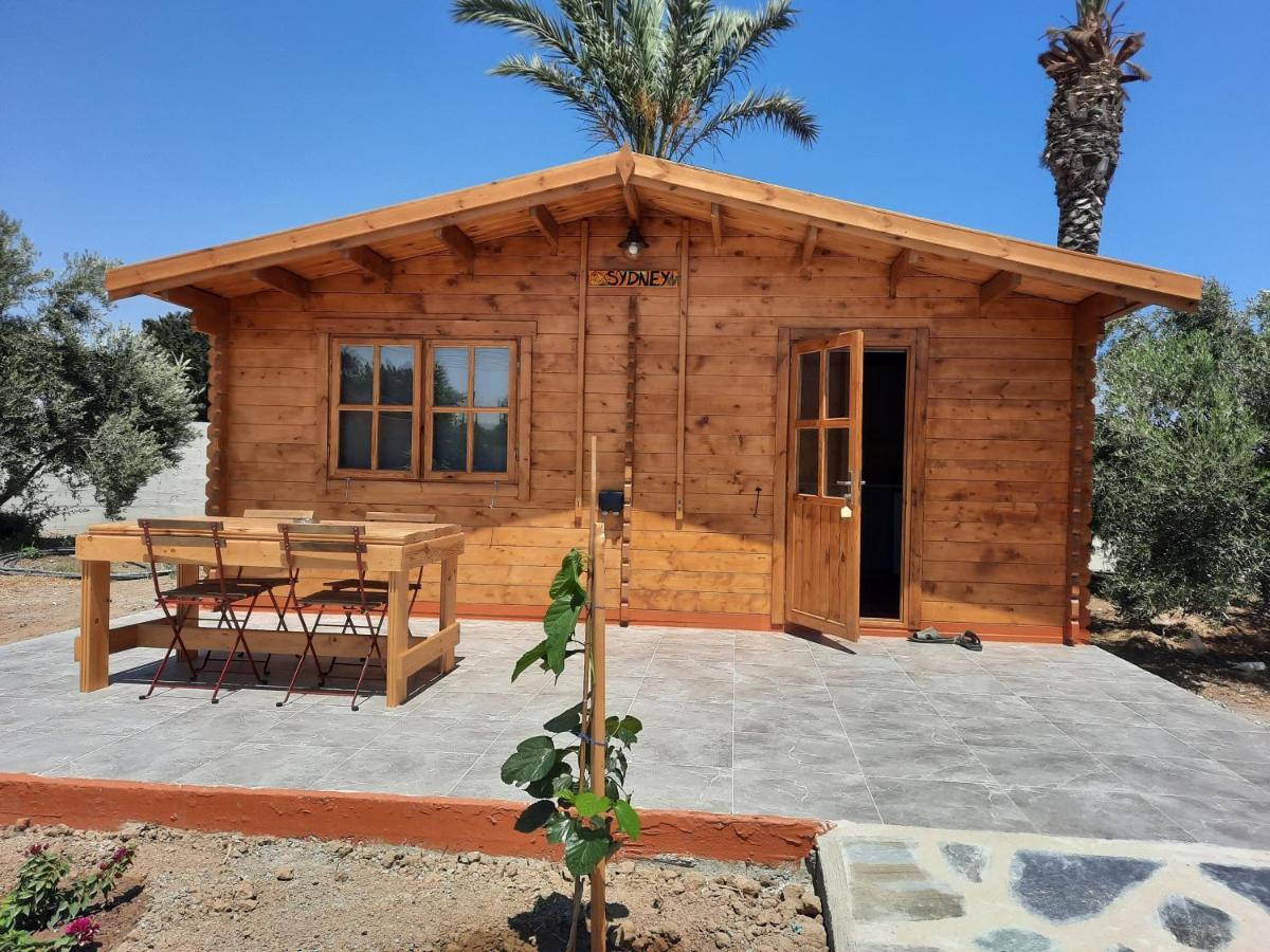 Cyprus Glamping Park Hotel Agios Theodoros Kültér fotó